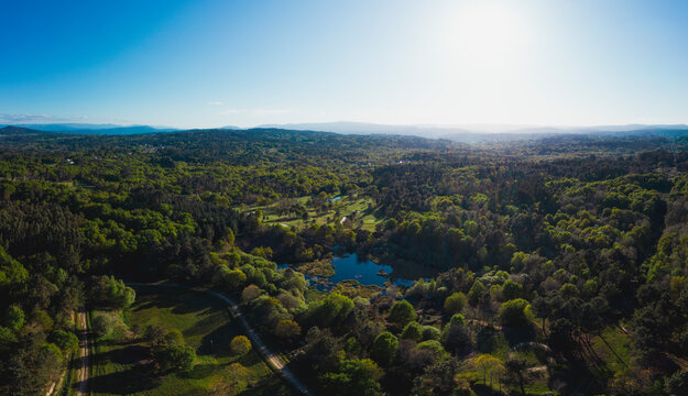 Sun shining over small lake surrounded by green forest