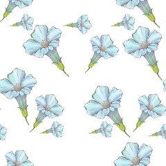 watercolor illustration seamless pattern delicate blue Loach flower buds,white background,for wallpaper or fabric
