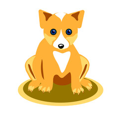 A corgi dog puppy on a white background.Vector illustration.