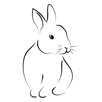 Outline drawing of rabbit, vector illustration