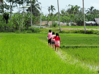 Local children walking in a tropical field of their village