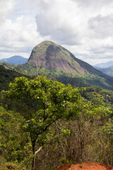 Mata Atlântica - MATA