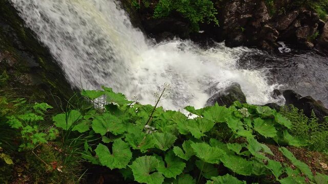 A closeup view of the Triberg waterfall in the Black Forest in Germany in 4K
