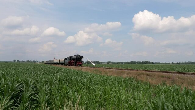 Dutch steam locomotive with wagons driving through Veluwe landscape