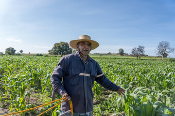portrait of a Mexican farmer cultivating corn