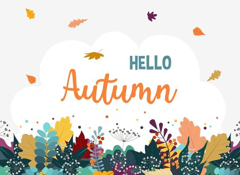 Hello Autumn background with colorful leaves isolated on white background. Fall Flat style design template for greeting card, poster, sale, promotional campaign, flyer, web banner. Vector illustration