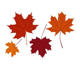 Set of colorful orange maple leaves isolated on white background for background, card, poster etc. Colorful fall tree leaves flat style vector illustration for card, banner, poster or decor.