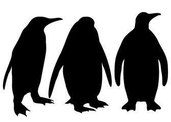 Penguins in the set. Vector image.