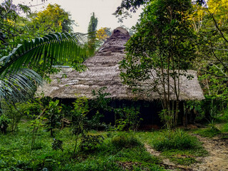 roof in the amazon jungle peru