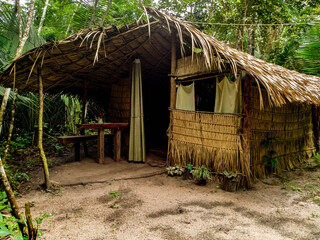 old house in the woods in amazon jungle brazil