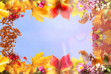 Fototapeta na wymiar Multicolored autumn fall Mabon festival leaves sunny blue sky background