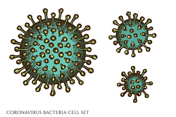 Vector set of hand drawn colored coronavirus bacteria cell