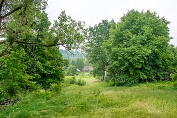 Trees on a green meadow on a cloudy, summer day. Village and agriculture buildings in the background.