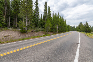 Fototapeta na wymiar A stretch of forest road in Yellowstone National Park