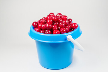 A full bucket of cherries.