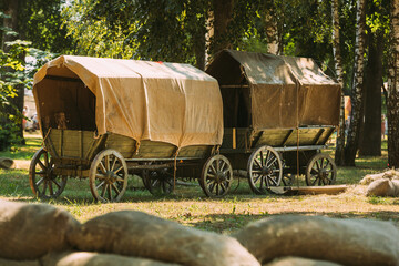 Russian Soviet World War II Peasant Carts In Forest. WWII Equipment Of Red Army