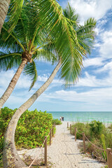 Bride and groom with minister in the far distance, as they elope on the Gulf of Mexico with palm covered path leading to secluded beach.