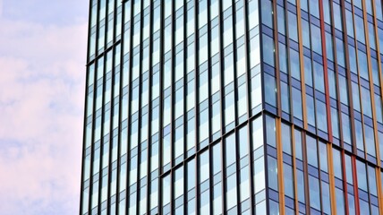 Eco architecture. Green tree and glass office building. The harmony of nature and modernity. Reflection of modern commercial building on glass with sunlight. 