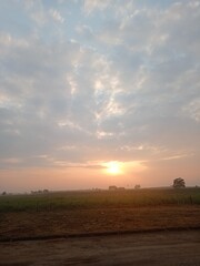 sunset over the field