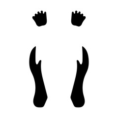 カンガルーの足跡