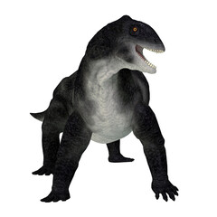 Delphinognathus Synapsid on White - Delphinognathus was a synapsid herbivorous animal that lived in South Africa during the Permian Period.