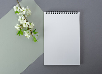 Notepad and spring blooming branch. Flat lay with copy space for text.