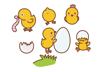 Chicks set in cartoon style. Funny baby chicken characters. Little yellow birds.