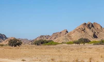 Namib-Naukluft-Nationalpark bei Swakopmund, Namibia