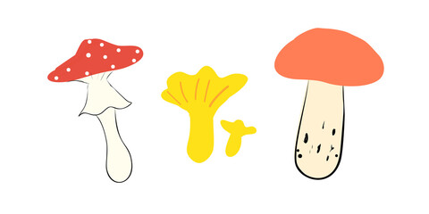 Mushroom set in doodle style. Fly agaric, chanterelle and boletus isolated on white background. Forest design elements. Vector illustration.