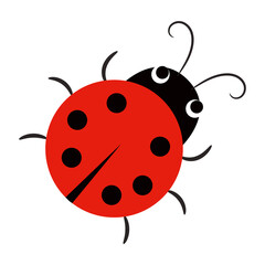 Cartoon ladybug isolated on white background. Ladybird icon. Beetle character. Vector Illustration.