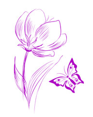 Tulip with butterfly picture. Hand drawn wall art. Beautiful design. Vector Illustration.