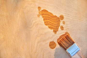 Painting a wooden surface with varnish, a brush on an oak board.