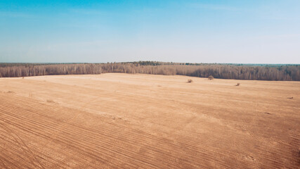 Wheat field, drone shooting in the evening