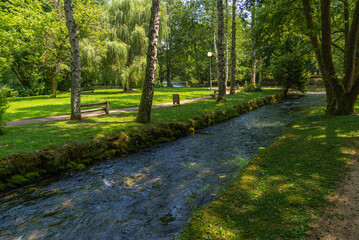 Vrelo Bosne nature green park in Sarajevo with water and ducks 