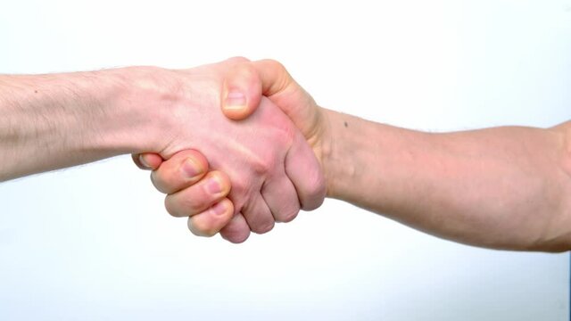 female and male hands of Europeans on a white background, closeup palms of people, greet each other, business concept, meeting old friends