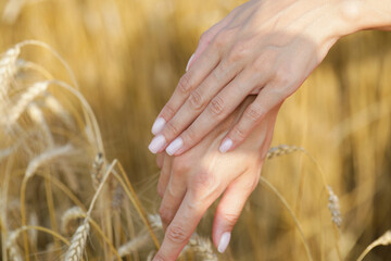 hands in the field