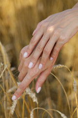 Woman hand field. Photo. hands. 