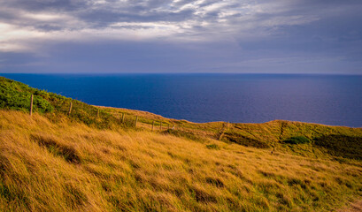 Beautiful coast of Cornwall England - nature photography