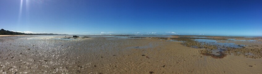 Beach Bahia Brazil 