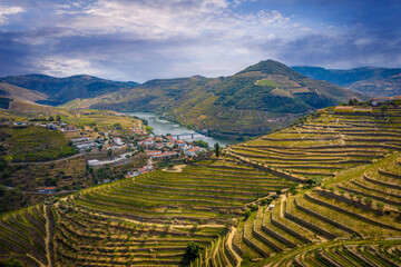 Aerial view over Douro valley in Portugal and the port wine vineyards - videoclip © 4kclips