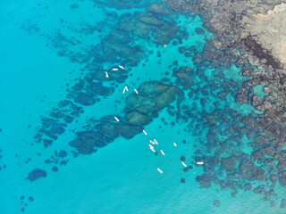 Group of SUP stand up paddlers in the ocean