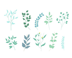 手書きタッチの草木。緑のハーブセットイラスト　Plants with a handwritten touch. Green herb set illustration