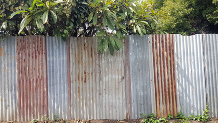 Rusty Corrugated Iron Fence With a Tree Behind it