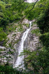 Fototapeta na wymiar Nunobiki waterfall in Kobe, Hyogo, Japan
