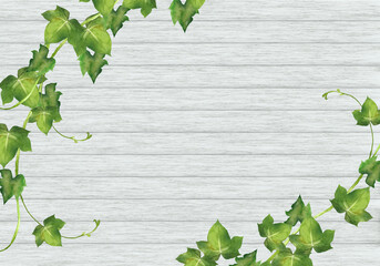 アイビーと白い板壁の背景