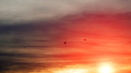 Blurred, the evening sky when the sun goes down, there is a beautiful light, and the birds fly back to their nest before nightfall.