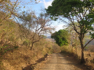 camino en el campo
