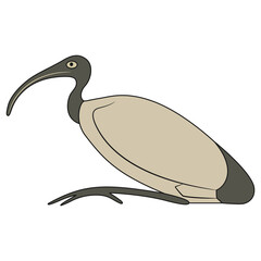 Perched ibis bird. Sacred animal of god Thoth. Ancient Egyptian mythology. - obrazy, fototapety, plakaty