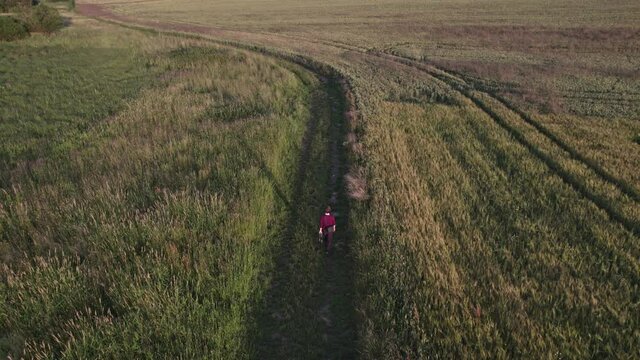 Overhead view of man walking in the fields on a scenic rural road, near Svitavy in the Czech Republic