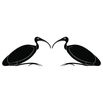 recommend clip art: Symmetrical animal design with two ibis birds. Sacred animal of god Thoth. Ancient Egyptian mythology. Black and white negative silhouette.